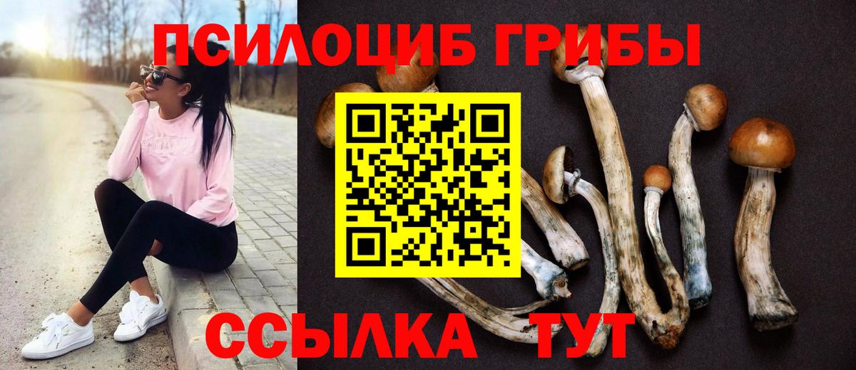 Галлюциногенные грибы MAGIC MUSHROOMS  Вход с VPN  Кохма  Галлюциногенные грибы MAGIC MUSHROOMS 